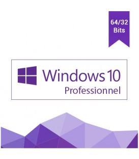 Windows 10 professionnel