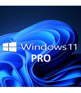 Windows 11 professionnel