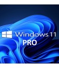 Windows 11 professionnel