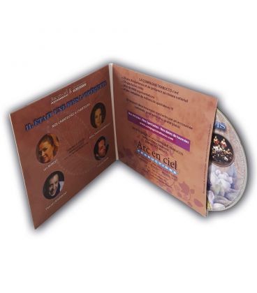 Duplication CD en Digisleev 2 volets